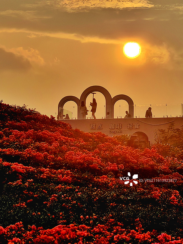 2025最后一天的日落图片素材
