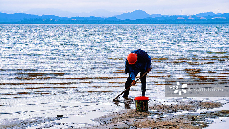 赶海者（防城港西湾）2025/11/10/16:58图片素材