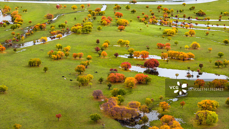 额尔古纳的秋图片素材