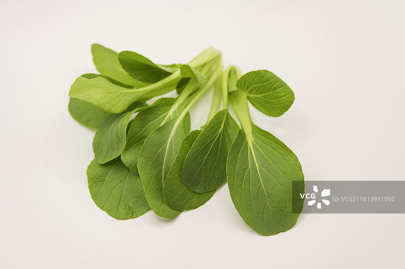 一把鸡毛菜图片素材