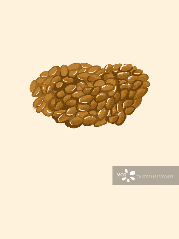 中药决明子图片素材