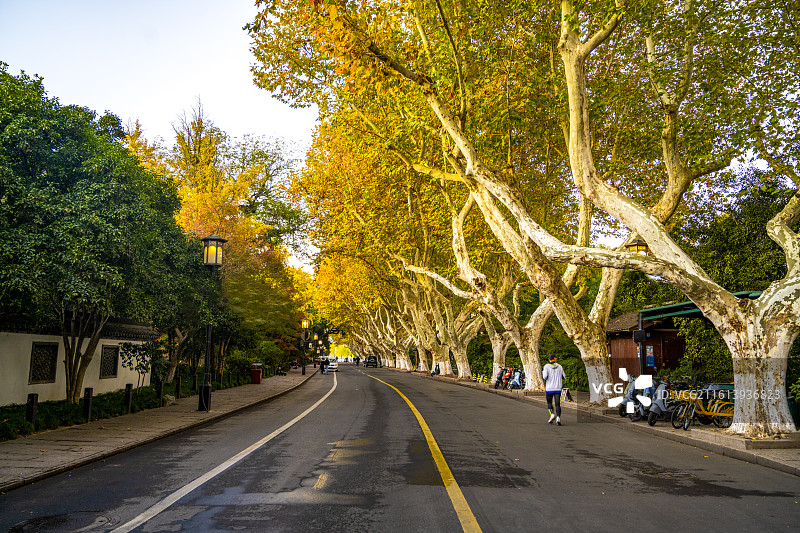 杭州西湖秋色图片素材