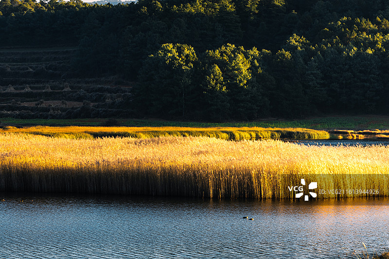 云南昭通巧家县马树镇湿地冬天的下午和黄昏图片素材