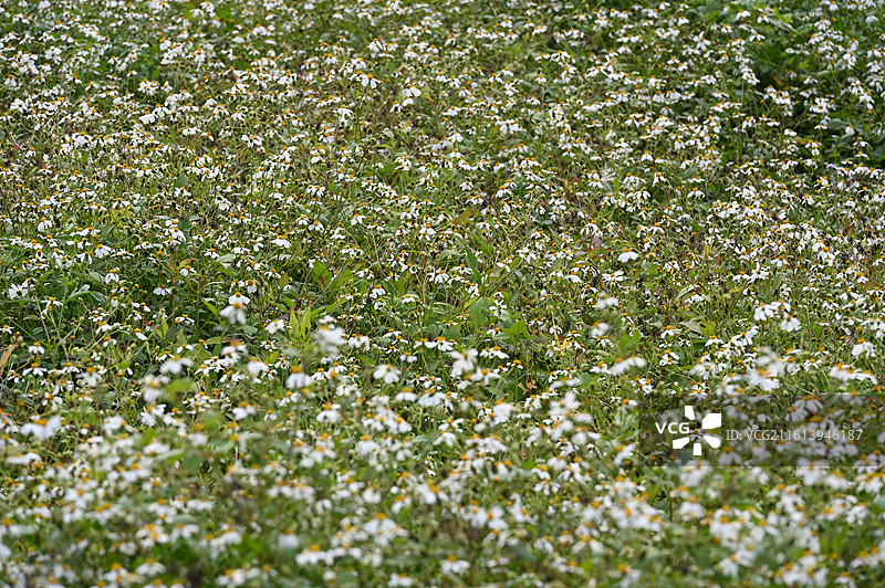 福建福州康板溪图片素材