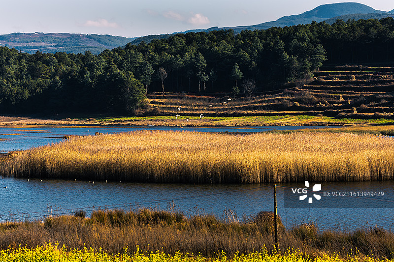 云南昭通巧家县马树镇湿地冬天的下午和黄昏图片素材