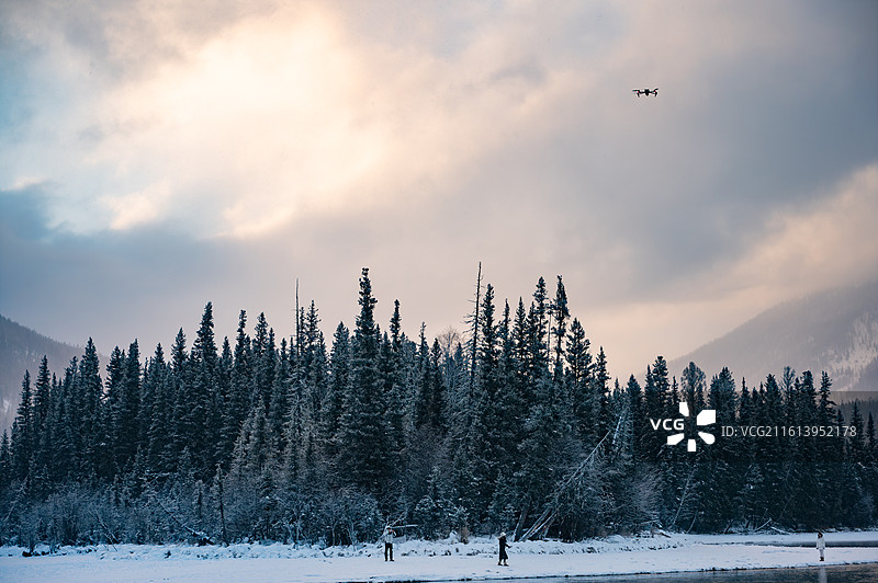 喀纳斯神仙湾雪中孤独的树图片素材