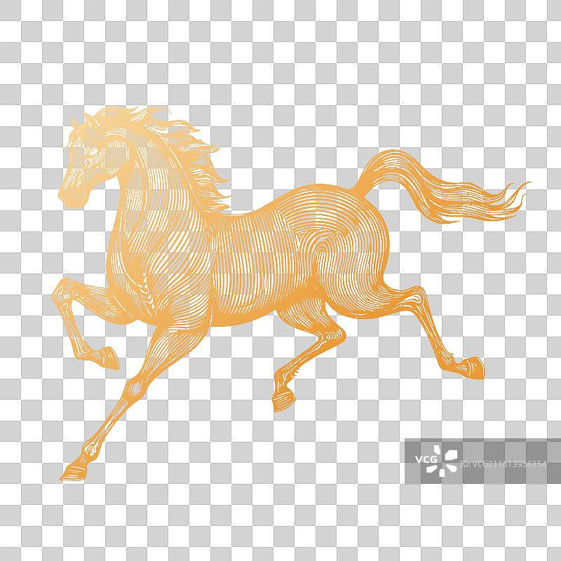 2026马年新年春节金色线条马矢量插画图片素材