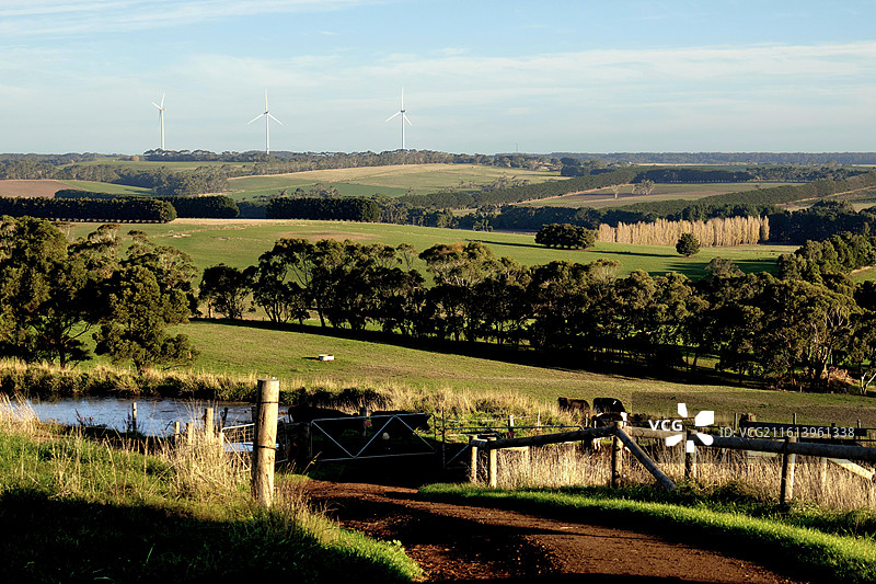 墨尔本 大洋路 十二使徒岩 坎贝尔港 牧场 城市图片素材