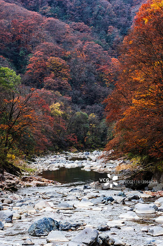 米仓山晚秋景色图片素材