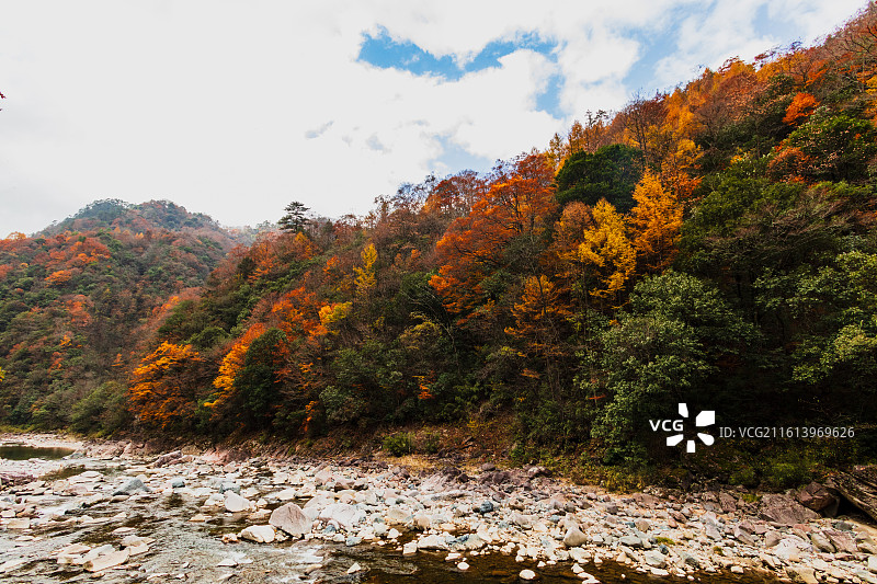 米仓山晚秋景色图片素材