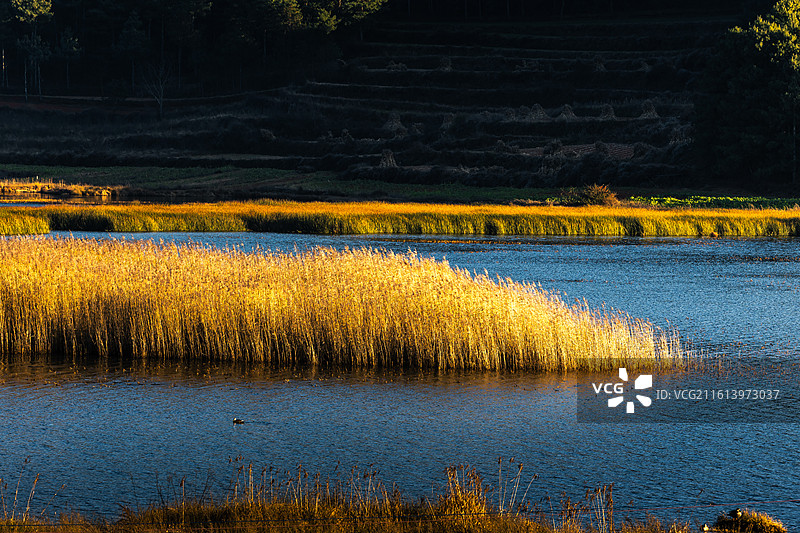 云南昭通巧家县马树镇湿地冬天的下午和黄昏图片素材