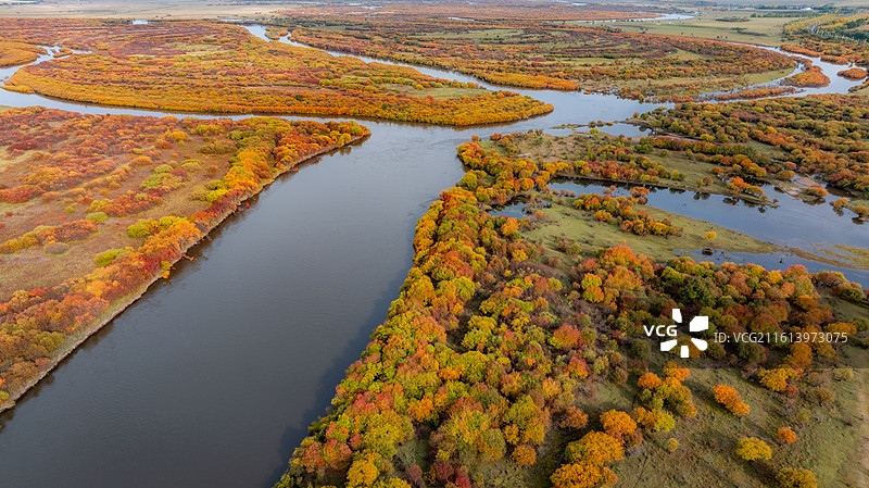 额尔古纳的秋图片素材