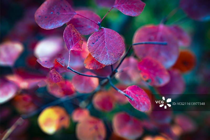 北京坡峰岭图片素材