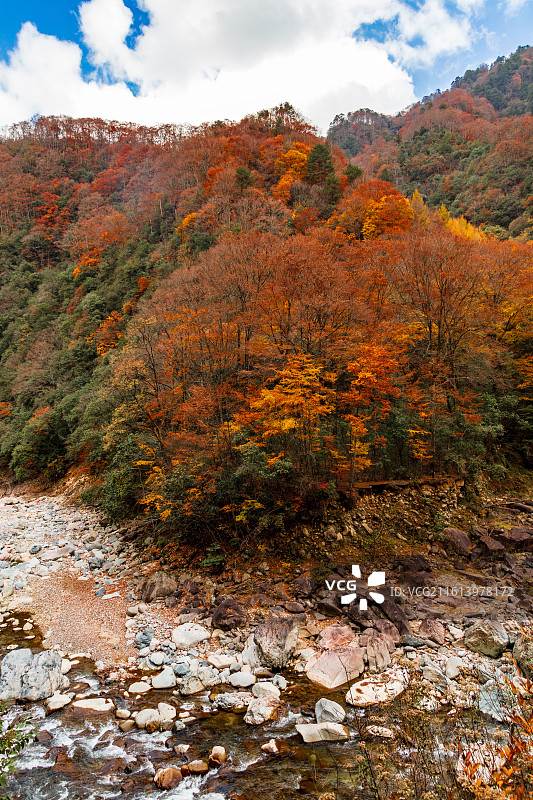 米仓山晚秋景色图片素材