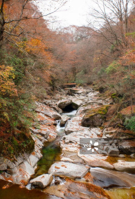 米仓山晚秋景色图片素材