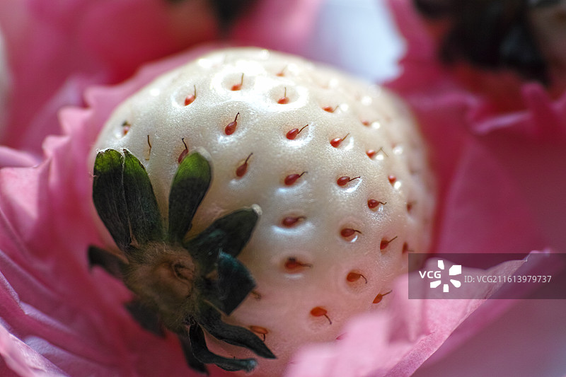 美味的白草莓图片素材