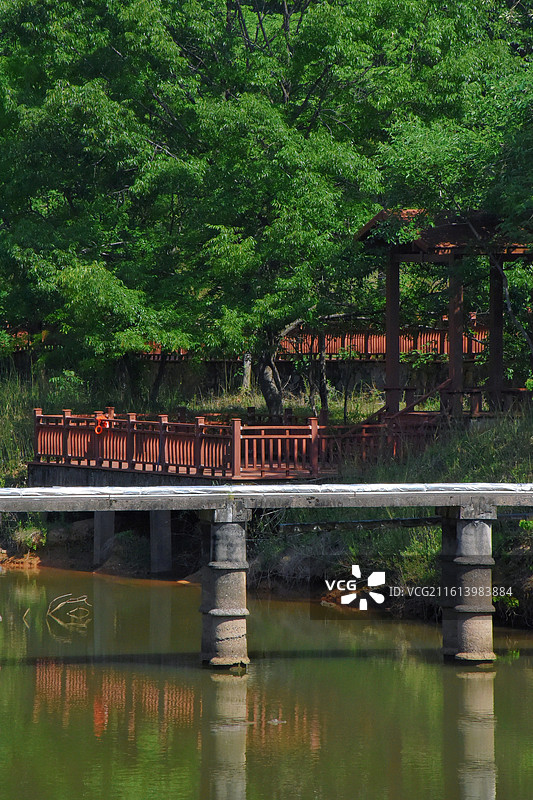 中国鳄鱼湖景观图片素材