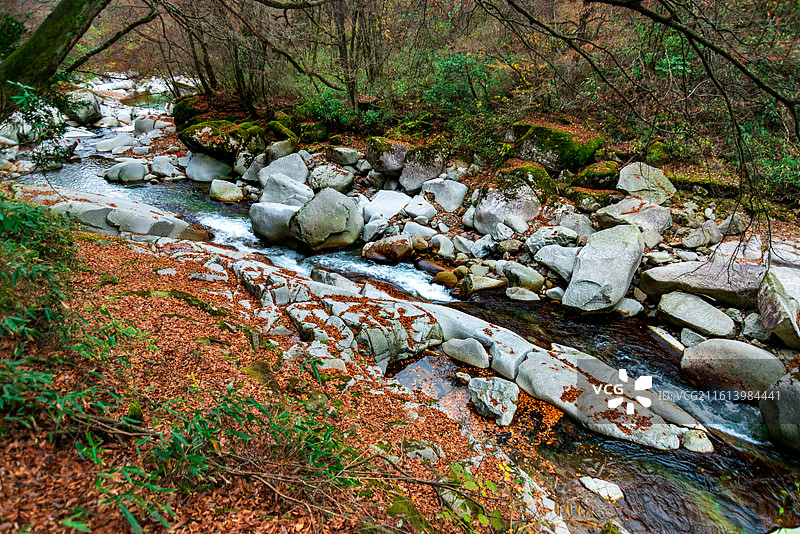 米仓山晚秋景色图片素材