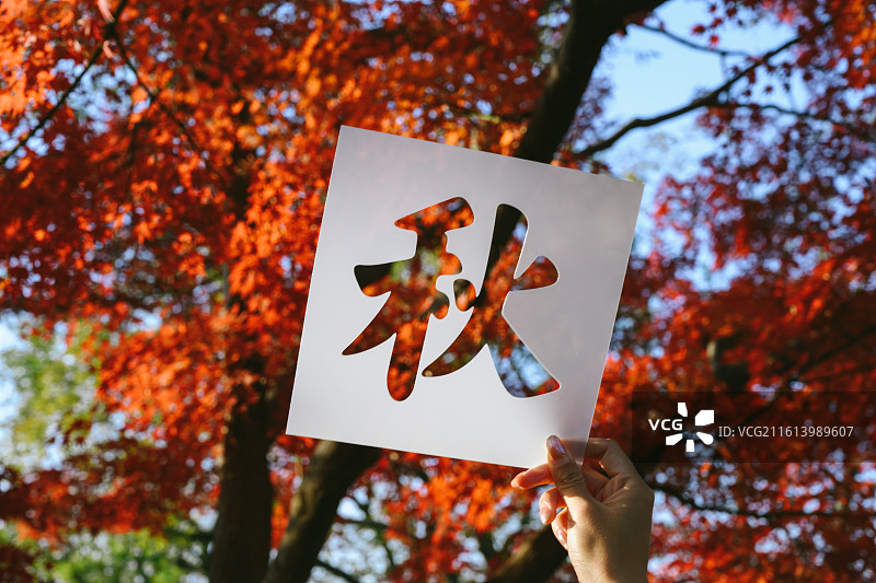 拙政园12月秋天景色图片素材