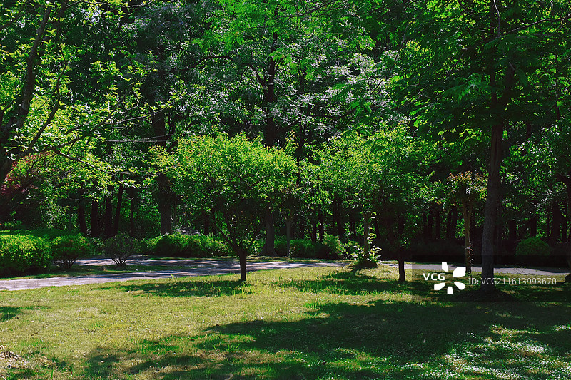 安徽宣城鳄鱼湖景区景观图片素材