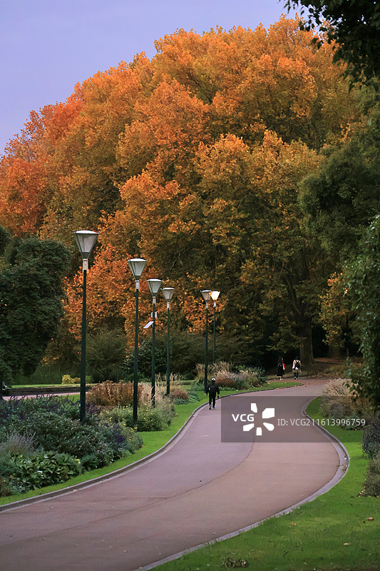 墨尔本 大洋路 十二使徒岩 坎贝尔港 牧场 城市图片素材