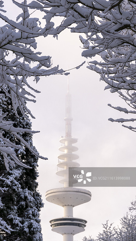 德国汉堡植物园冬日大雪风景图片素材