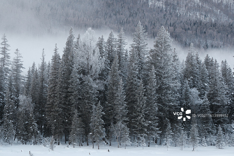 新疆阿勒泰喀纳斯神仙湾寒冬雪景晨雾朦胧如水墨画图片素材