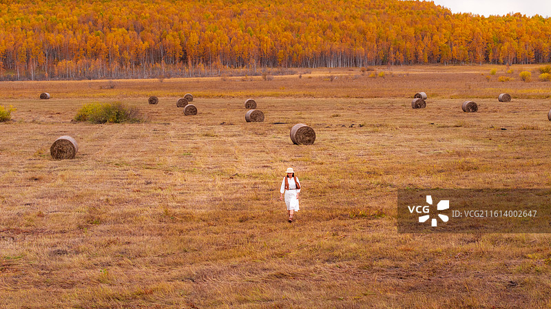 额尔古纳的秋图片素材
