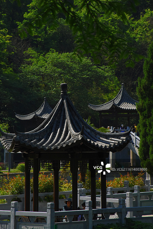 中国鳄鱼湖景区园林景观图片素材