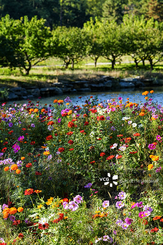 北京圆明园油画般的秋色图片素材