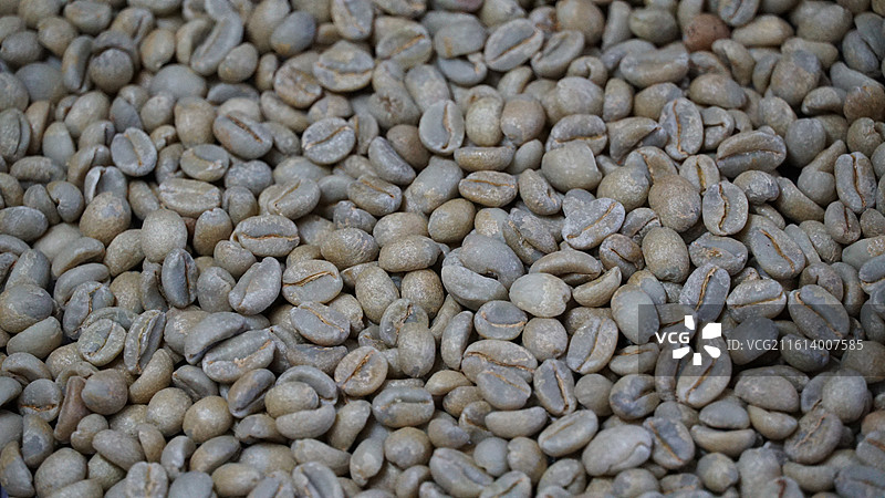 咖啡生豆 咖啡熟豆 埃塞俄比亚古吉产区图片素材
