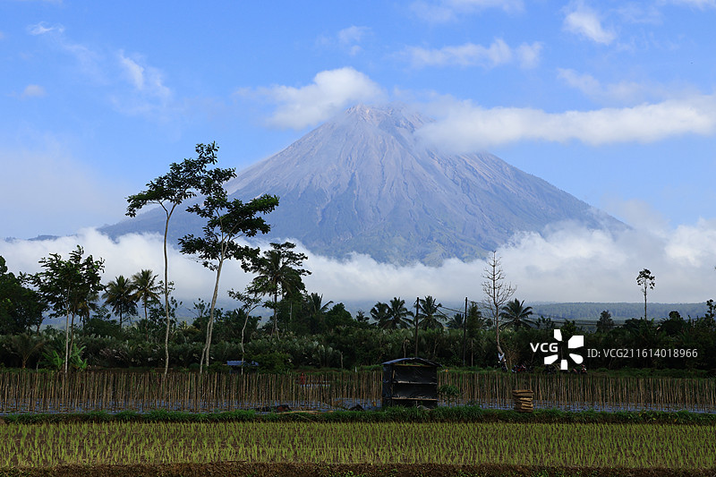 印尼塞梅鲁semeru火山 日出图片素材