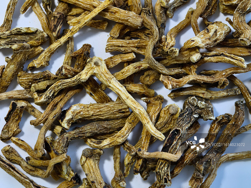 野生玉竹 中药材 中草药 养生图片素材