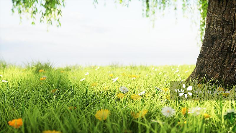 唯美绿色小清新春游旅游春天C4D春天场景图片素材