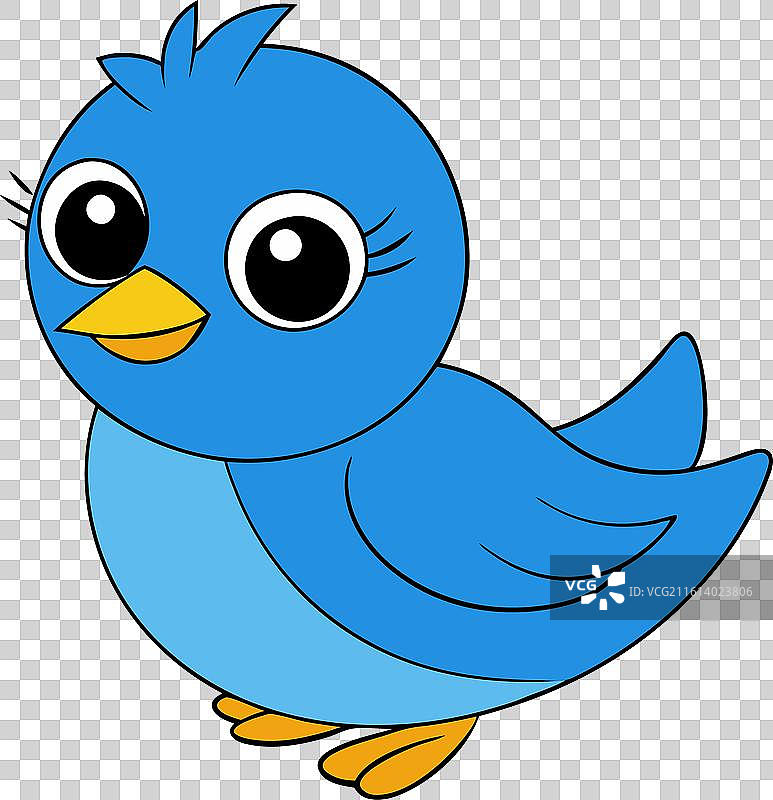 可爱的东蓝知更鸟在白色背景上图片素材