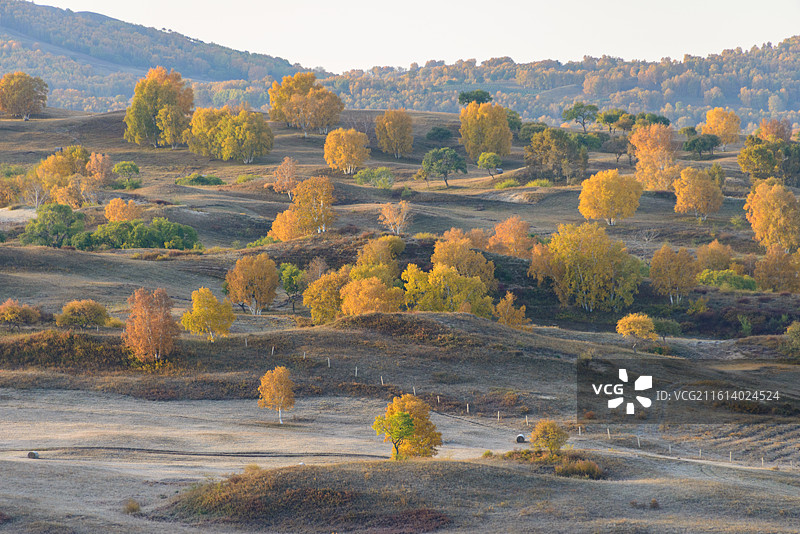 内蒙古赤峰乌兰布统透风沟秋景日出图片素材