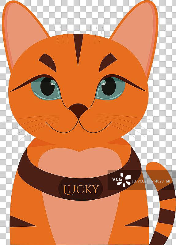 白色背景上有一只蓝眼睛的姜黄色猫，简约风格图片素材