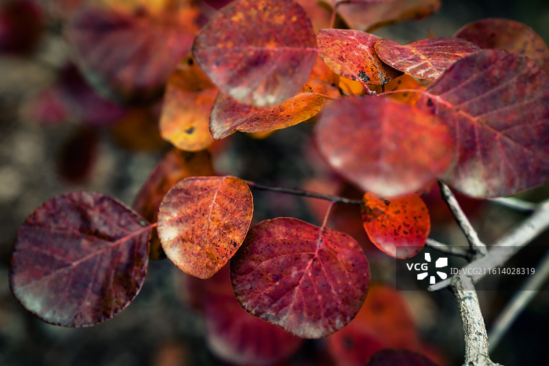 北京坡峰岭图片素材