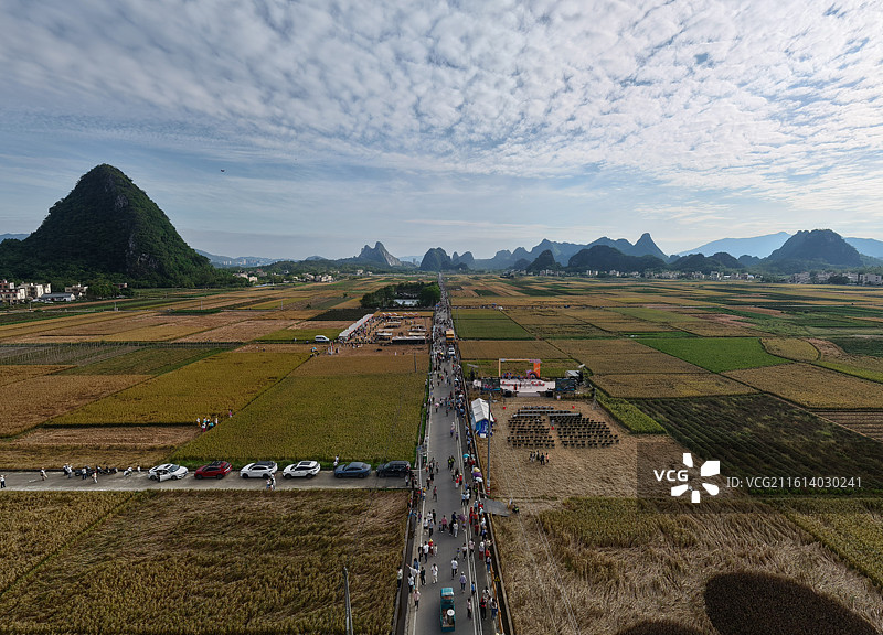 阳春马兰风光图片素材