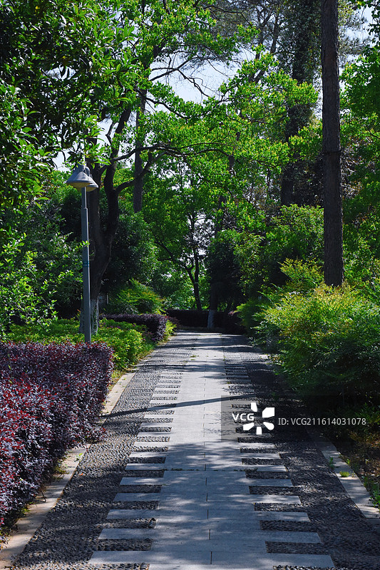 中国鳄鱼湖景区景观步道图片素材