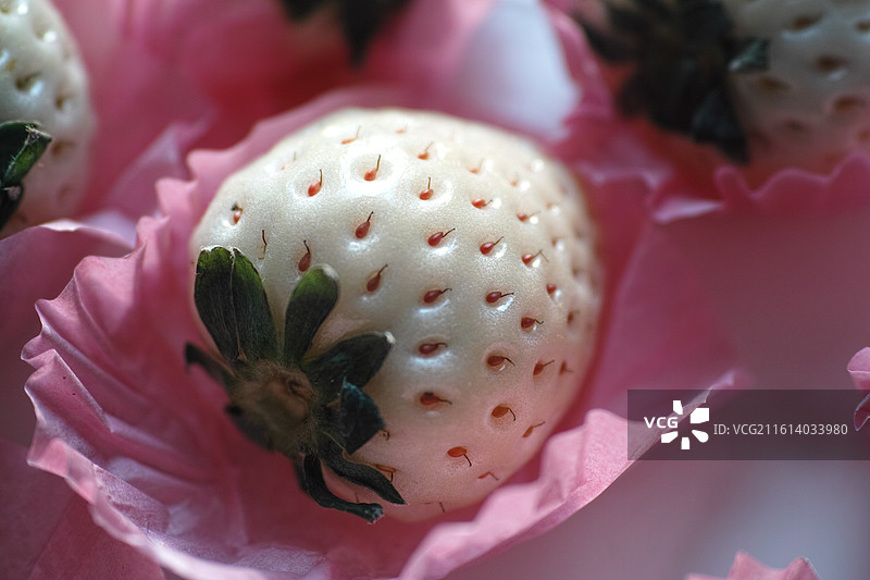 美味的白草莓图片素材