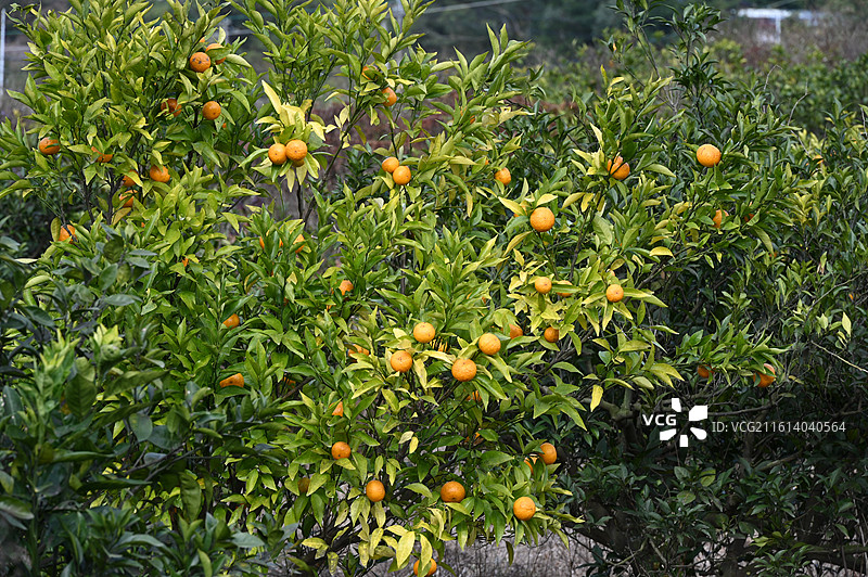 福建福州康板溪图片素材