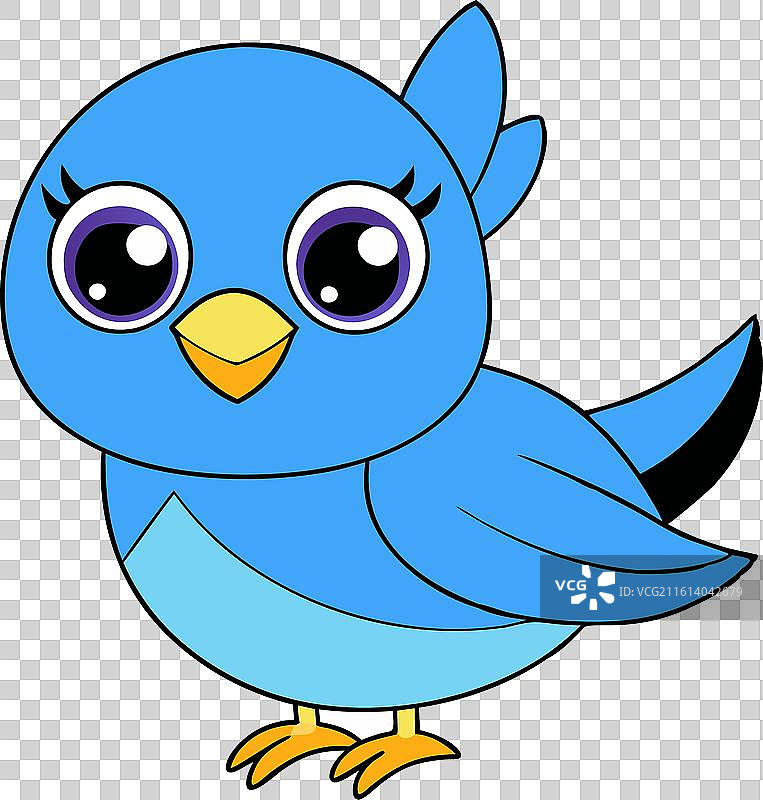 可爱的东方蓝知更鸟在白色背景上图片素材