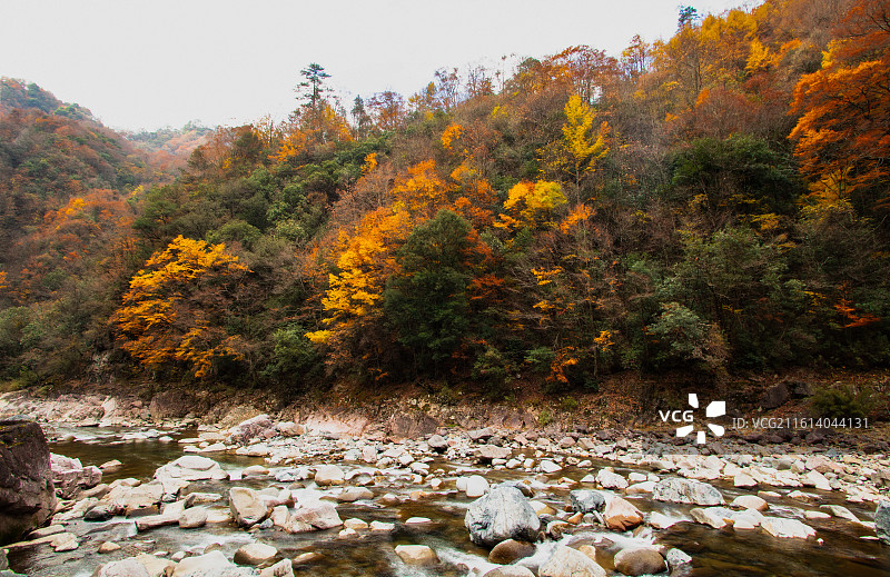 米仓山晚秋景色图片素材