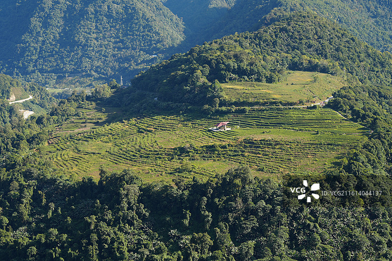 墨脱的绿色图片素材