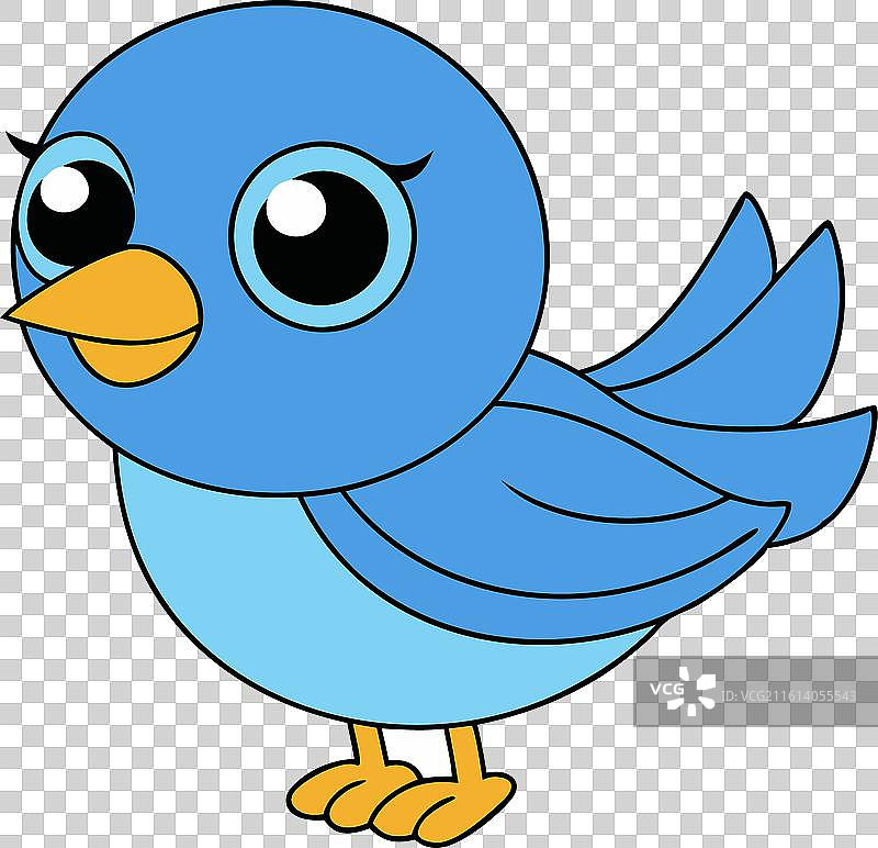 可爱的东方蓝知更鸟在白色背景上图片素材