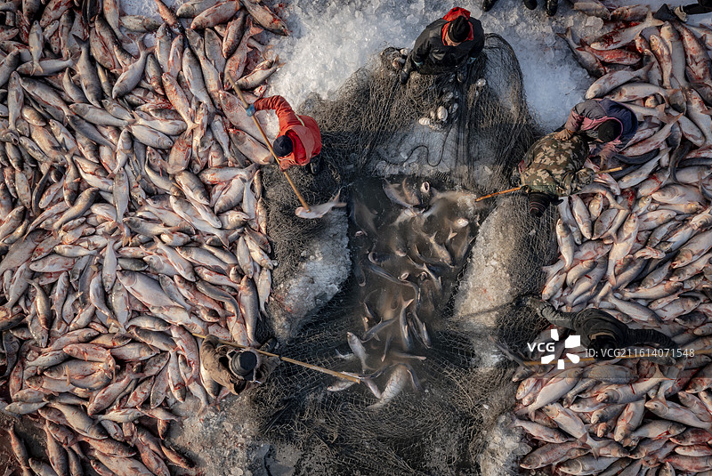 查干湖冬捕，冬天的捕鱼业，冰面打捞的场景，东北冬天的冬捕文化图片素材
