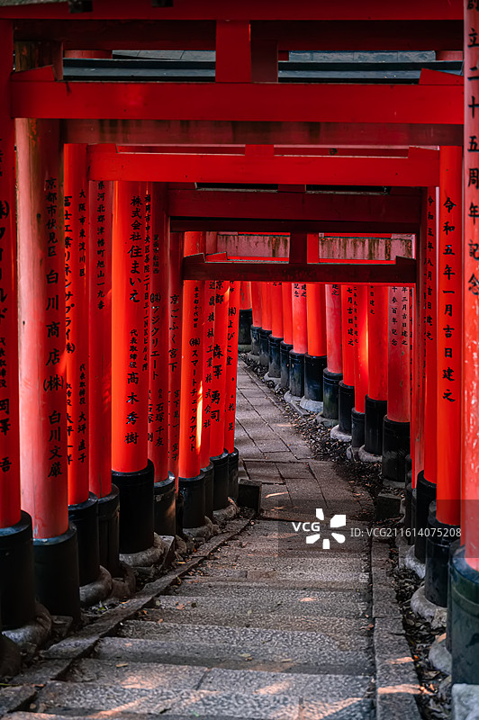 伏见稻荷大社蜿蜒向下的千本鸟居石阶步道图片素材