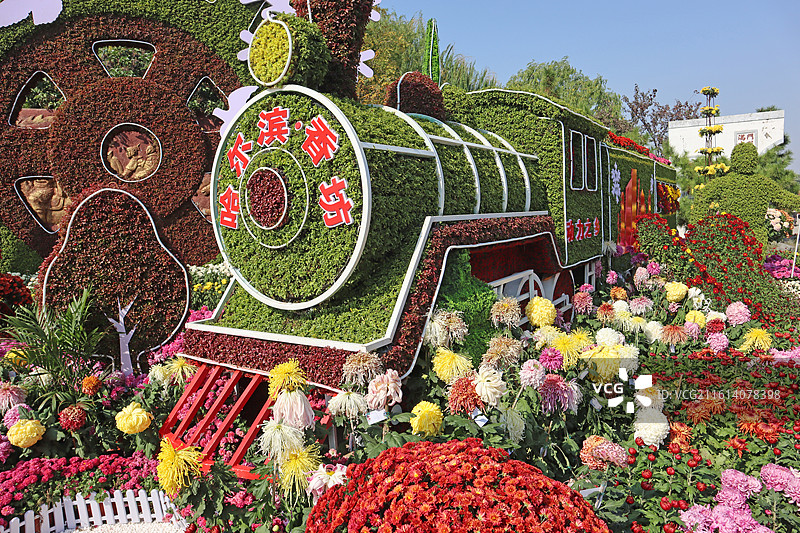 河南开封：天波杨府菊展新貌，传统名园邂逅现代园艺图片素材
