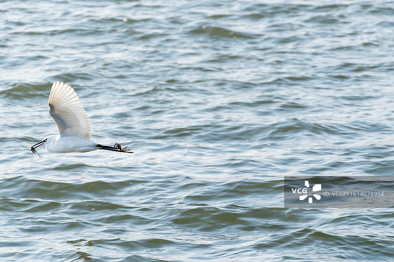 浙江宁波北仑春晓梅山湾海边冬日景色图片素材